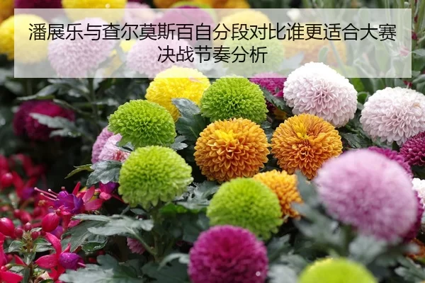 潘展乐与查尔莫斯百自分段对比谁更适合大赛决战节奏分析 - jiuyou